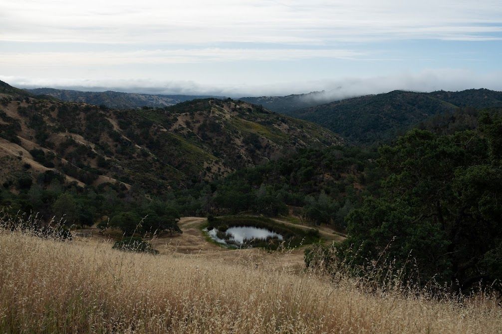 Dark green rolling hills in the back and we're standing on a dry grass hill, looking down at a clear reflective pond