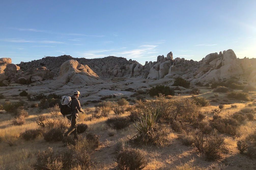 A backpackin night in Joshua Tree