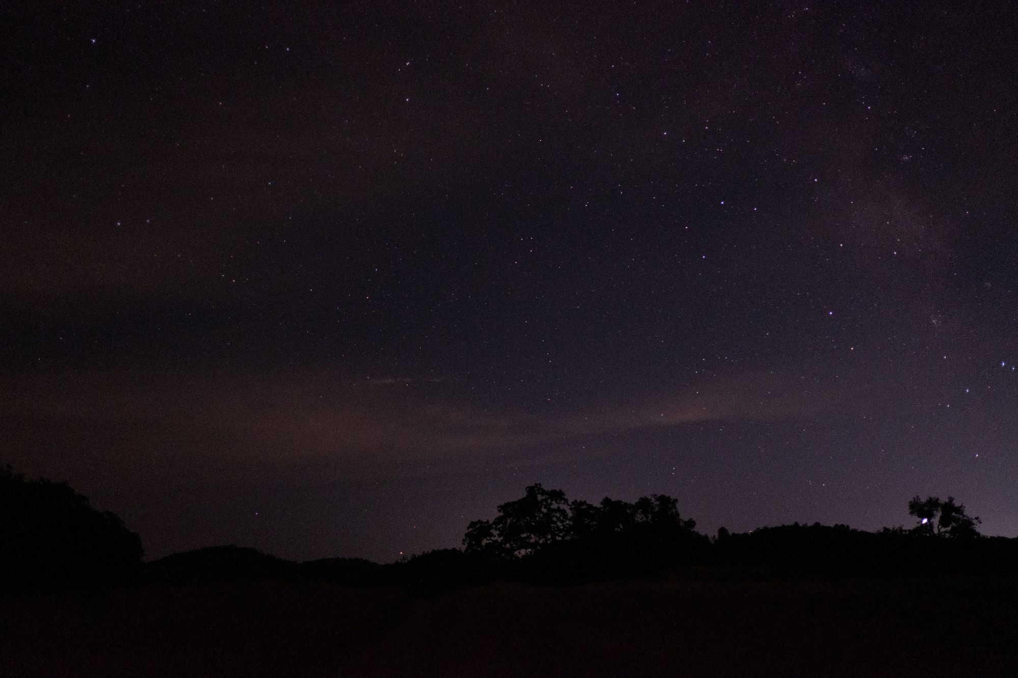Meteor watching in Henry Coe
