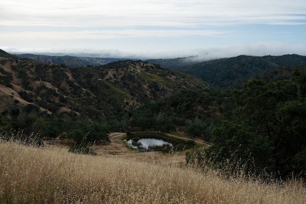 Dark green rolling hills in the back and we're standing on a dry grass hill, looking down at a clear reflective pond