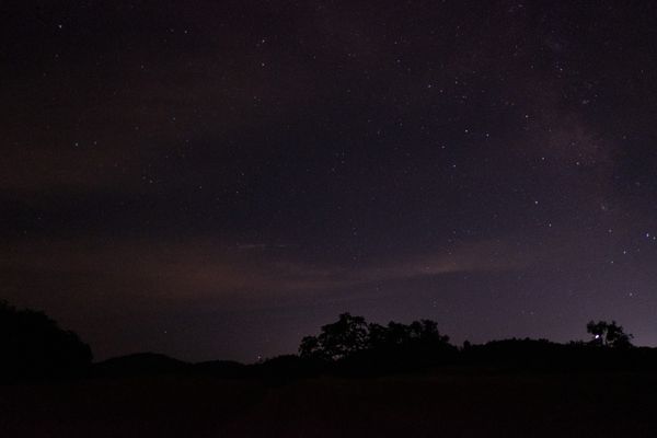 Meteor watching in Henry Coe